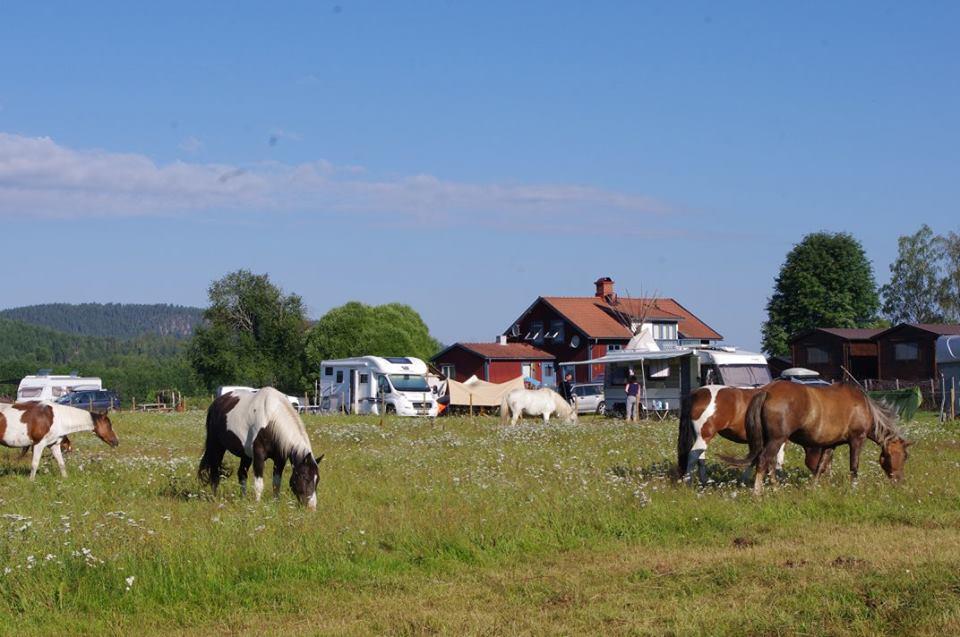 Sun Dance Ranch Bed & Breakfast Eksharad Luaran gambar